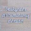 Žodžiai"Vaikystės prisiminimų dėžutė"