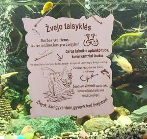 taisykles zvejui Medinė lentelė TAISYKLĖS ŽVEJUI